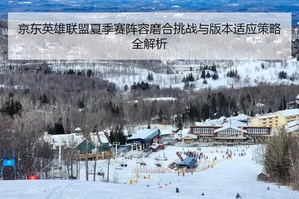 京东英雄联盟夏季赛阵容磨合挑战与版本适应策略全解析