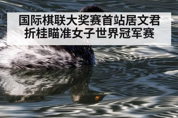 国际棋联大奖赛首站居文君折桂瞄准女子世界冠军赛